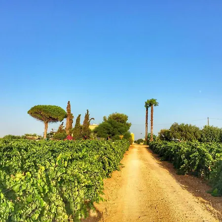 Vigne Al Vento