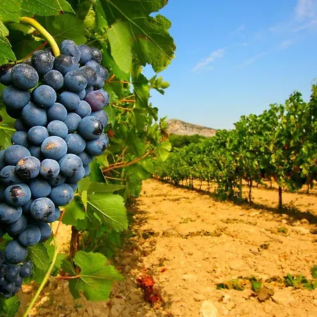Vigne Al Vento Feriehus