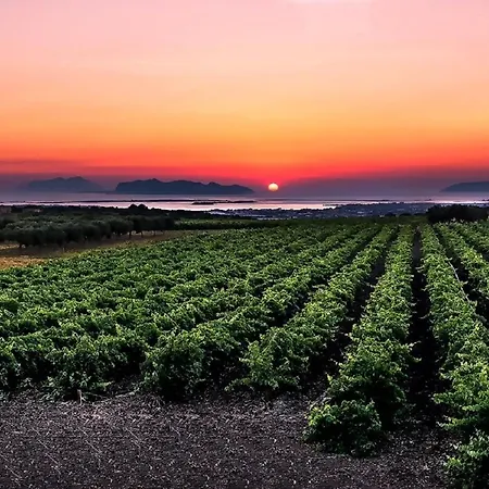 Vigne Al Vento Feriehus