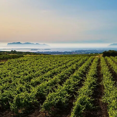 Vigne Al Vento Dom wakacyjny