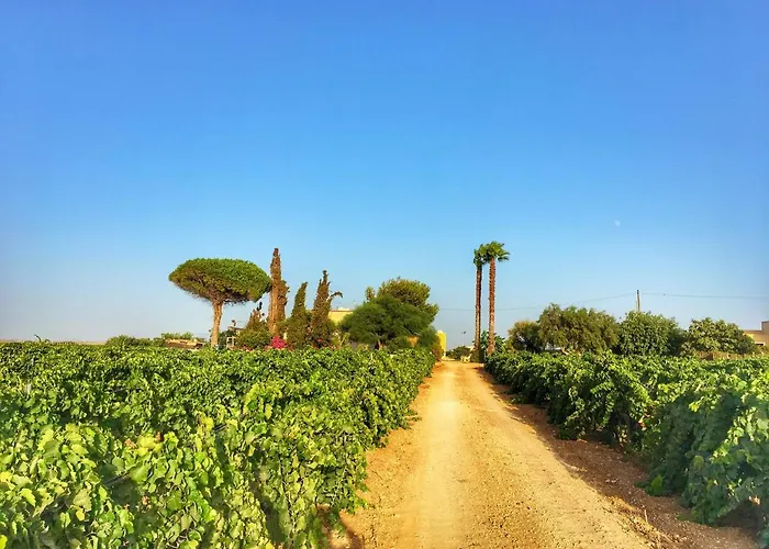 Vigne Al Vento