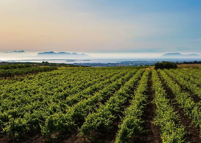 Vigne Al Vento Nyaraló