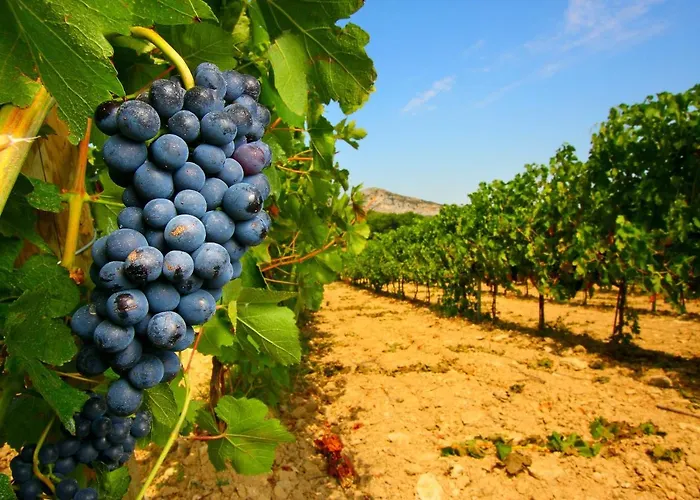Vigne Al Vento Nyaraló